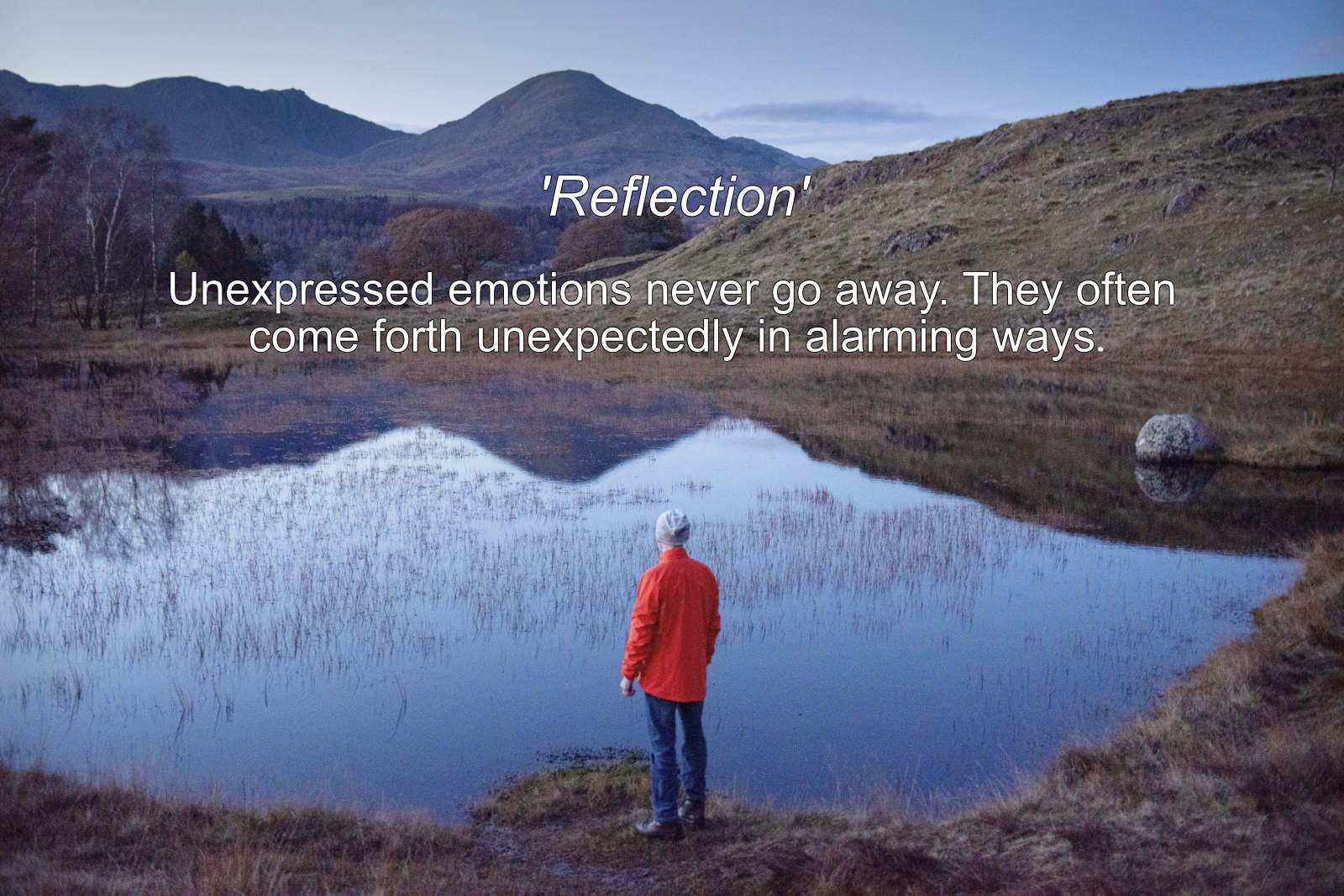 image of someone looking at a lake with a statement about reflectikon. 